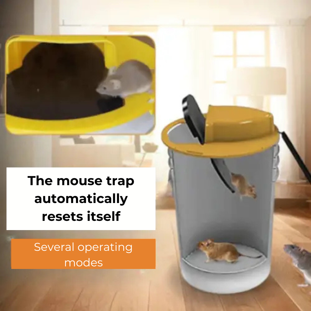 Flip & Slide – Mouse & Rat Trap