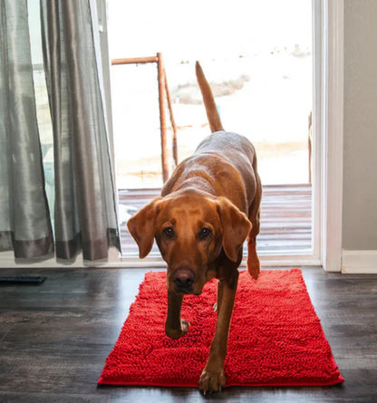 PawDry – Ultra-Absorbent Washable Dog Mat