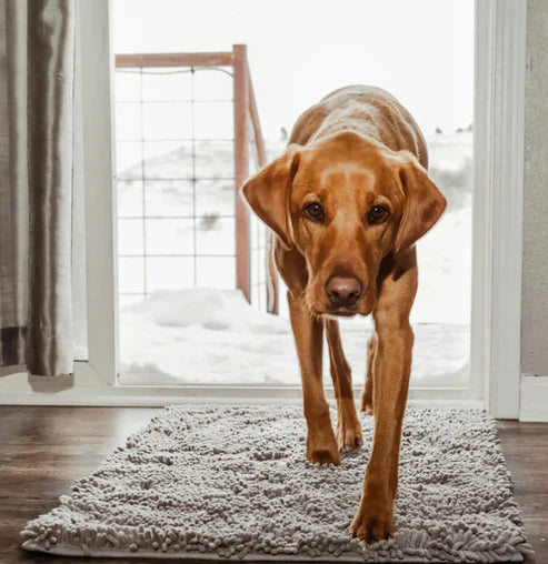 PawDry – Ultra-Absorbent Washable Dog Mat