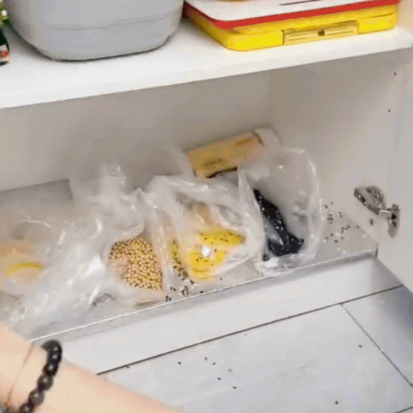 Food Storage Organizer ( Pack of 10 Bags )