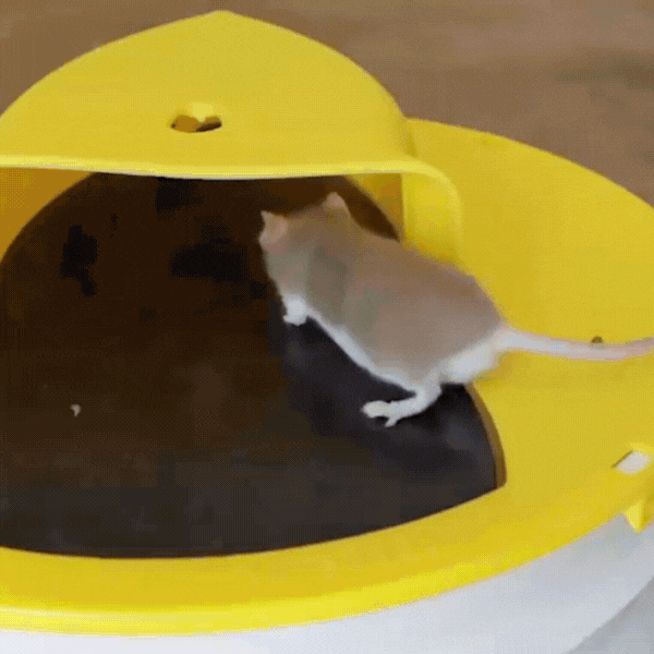 Flip & Slide – Mouse & Rat Trap