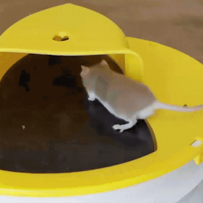 Flip & Slide – Mouse & Rat Trap