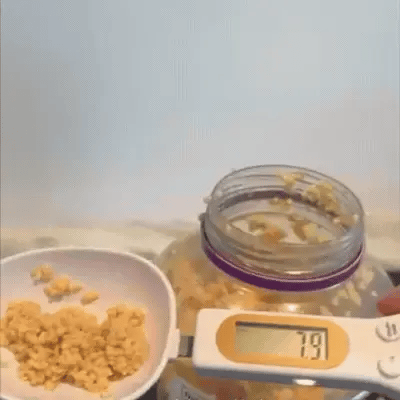 Digital Precision Measuring Spoon