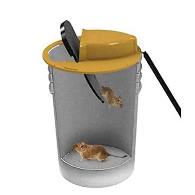 Flip & Slide – Mouse & Rat Trap