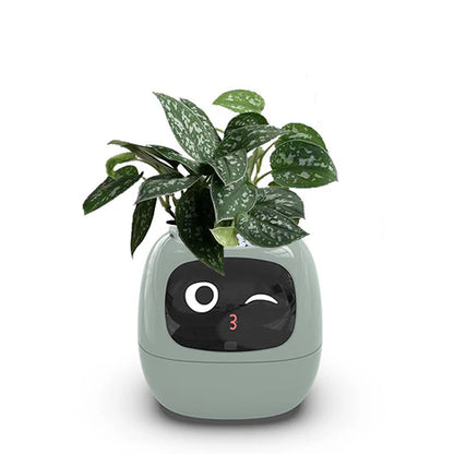 IvyBot – Your Revolutionary Plant Companion
